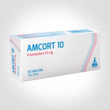 AMCORT 10