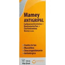 MAMEY ANTIGRIPAL JARABE