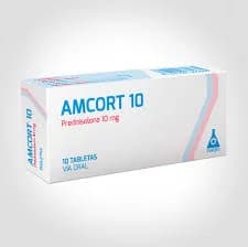 AMCORT 10