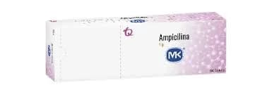 AMPICILINA 1000MG