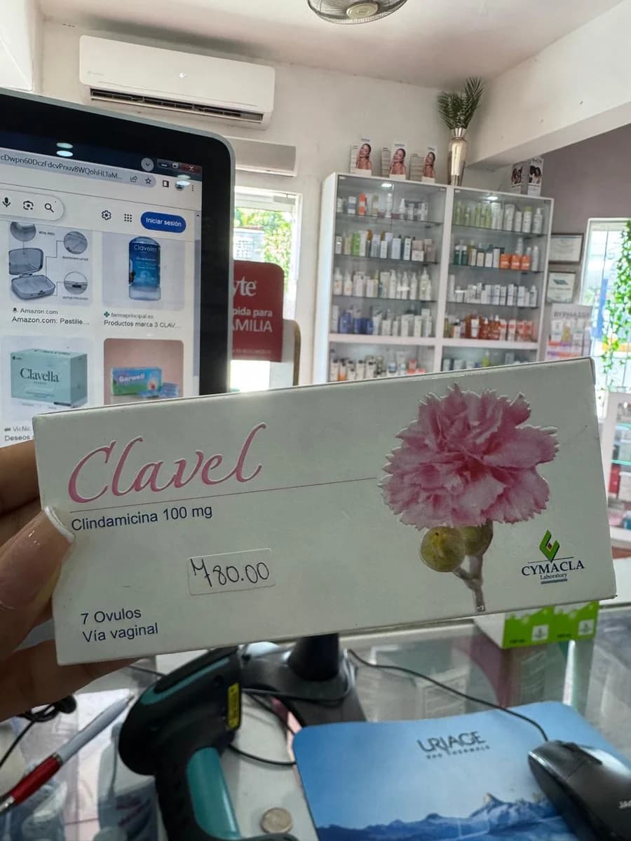 CLAVEL