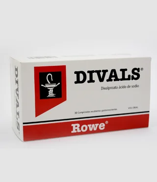 DIVALS 500