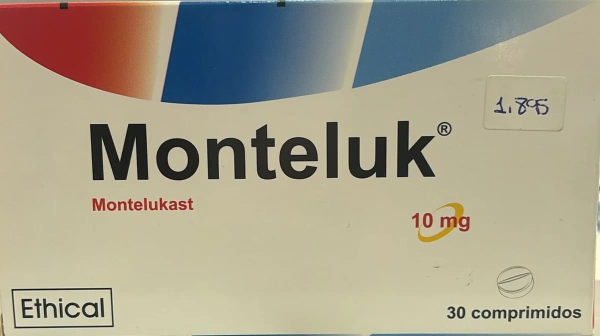 MONTELUK 10