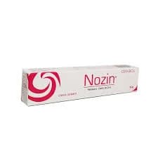 NOZIN