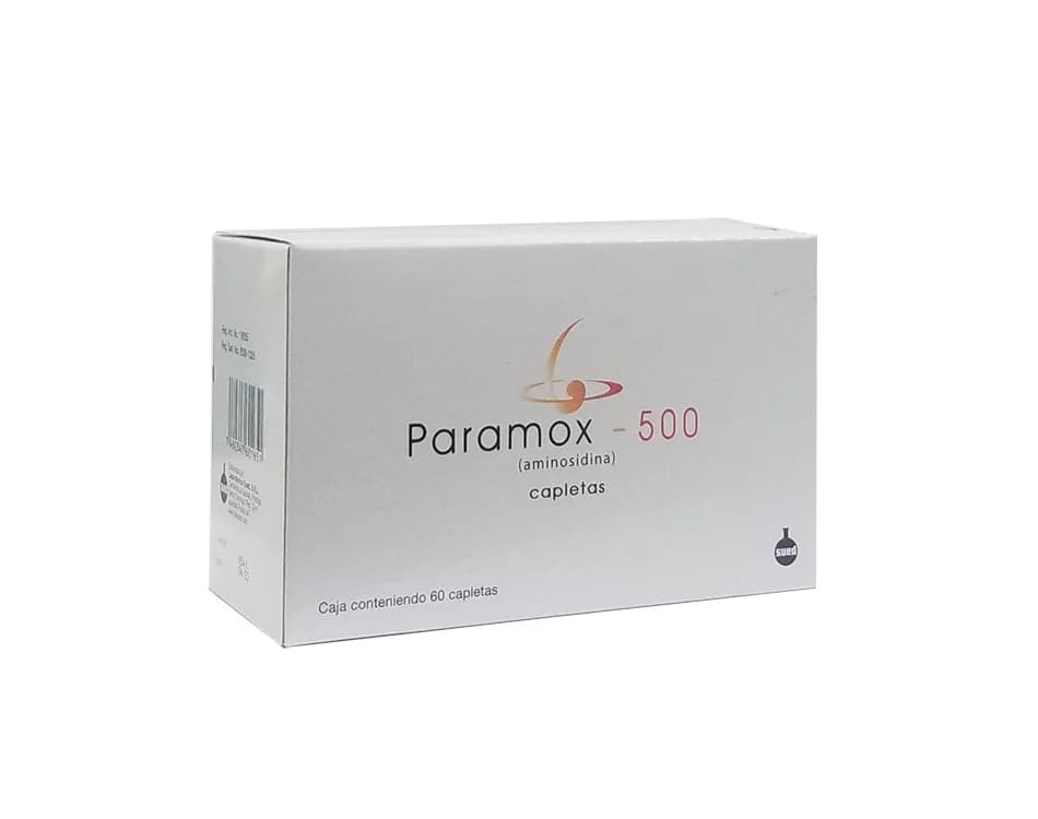 PARAMOX 500