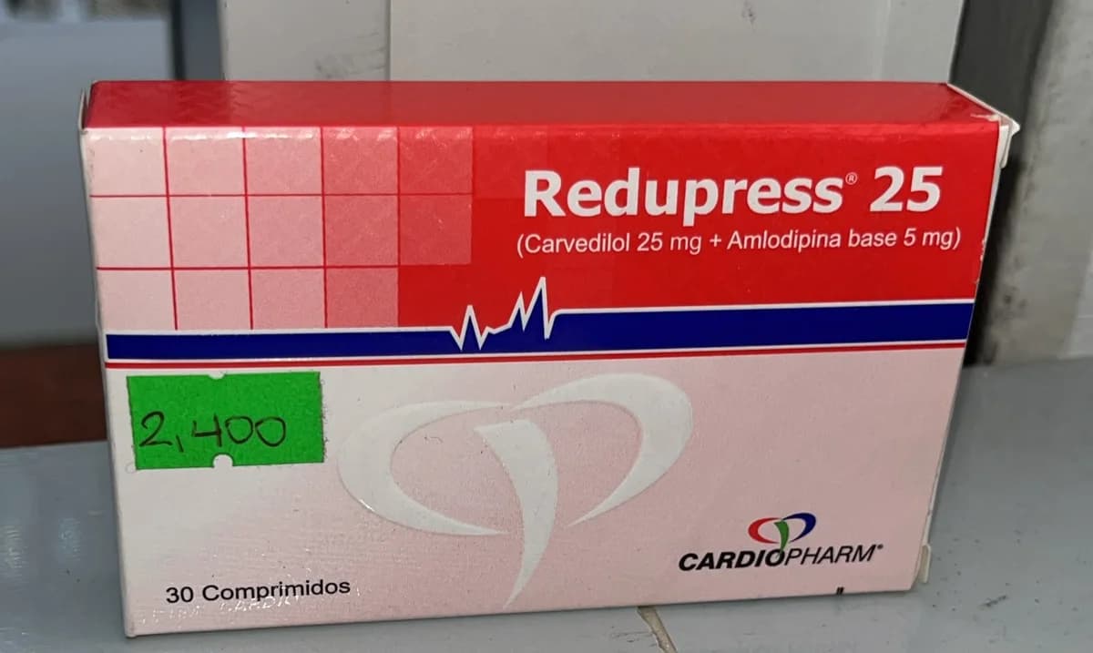 REPUDRESS 25
