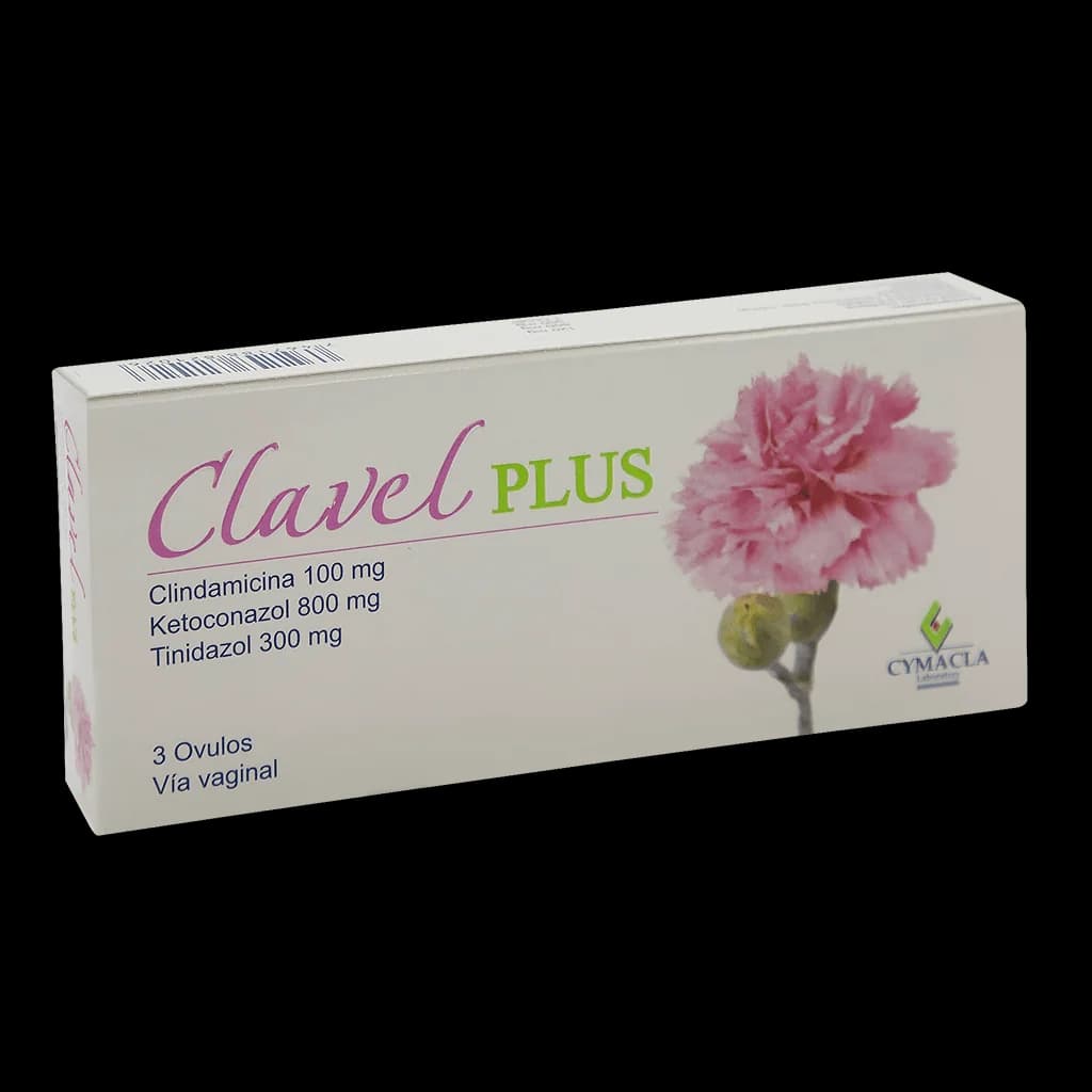 CLAVEL PLUS