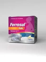 FERROSUL FOLIC